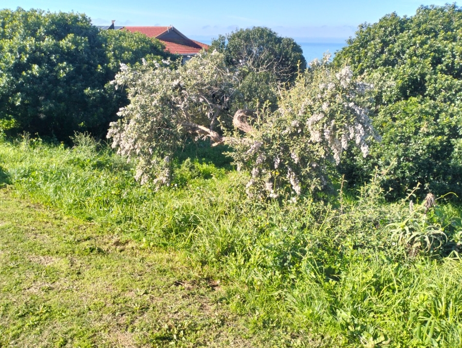 Commercial Property for Sale in Tergniet Western Cape